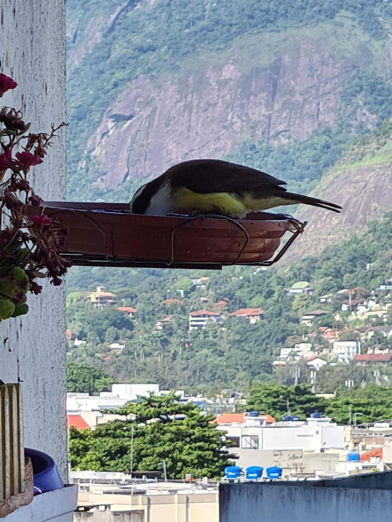 Apto Barra Da Tijuca Frente Pro Mar 리오데자네이루 외부 사진